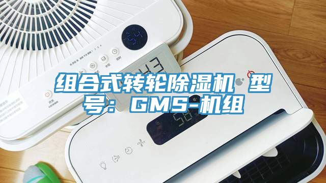 組合式轉輪小黄片软件免费下载 型號：GMS-機組