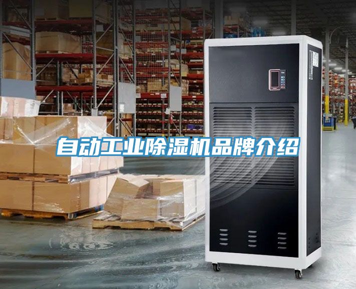 自動工業小黄片软件免费下载品牌介紹
