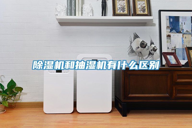 小黄片软件免费下载和抽濕機有什麽區別