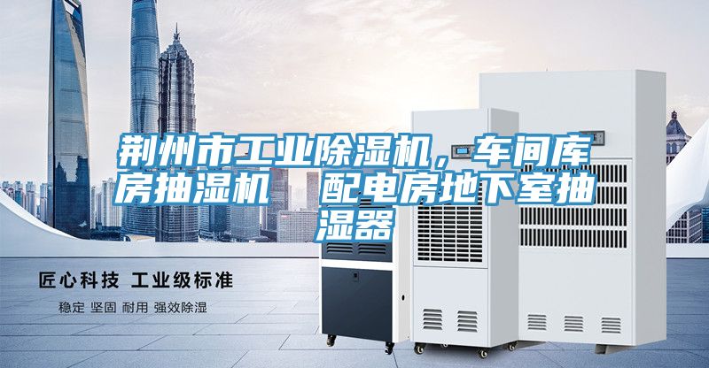 荊州市工業小黄片软件免费下载，車間庫房抽濕機  配電房地下室抽濕器