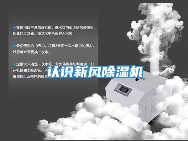 認識新風小黄片软件免费下载