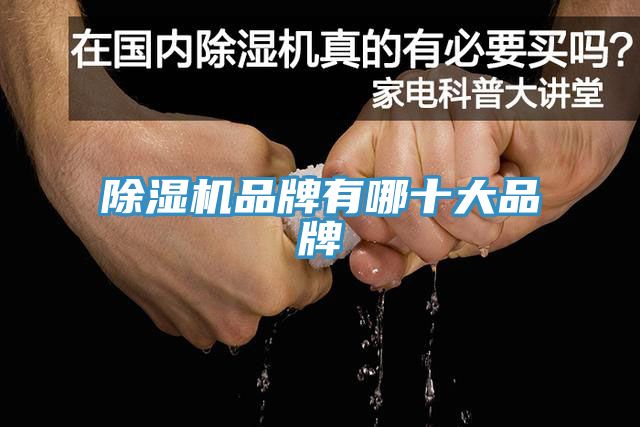 小黄片软件免费下载品牌有哪十大品牌