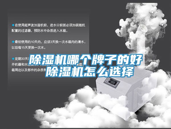 小黄片软件免费下载哪個牌子的好 小黄片软件免费下载怎麽選擇