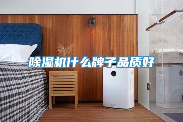 小黄片软件免费下载什麽牌子品質好