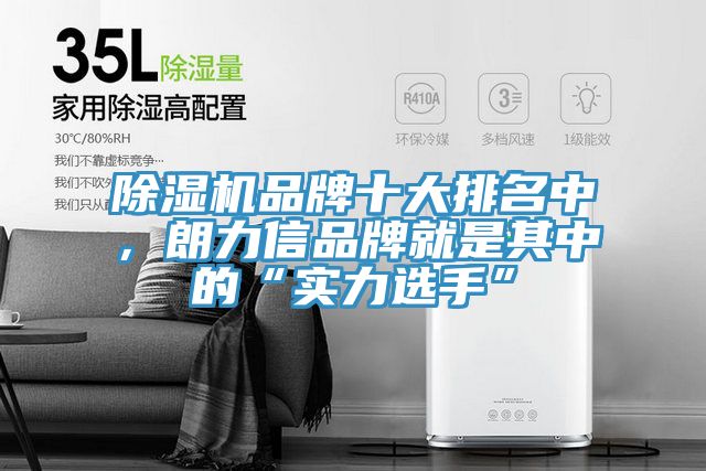 小黄片软件免费下载品牌十大排名中，朗力信品牌就是其中的“實力選手”