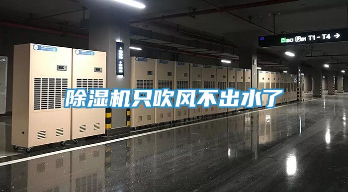 小黄片软件免费下载隻吹風不出水了
