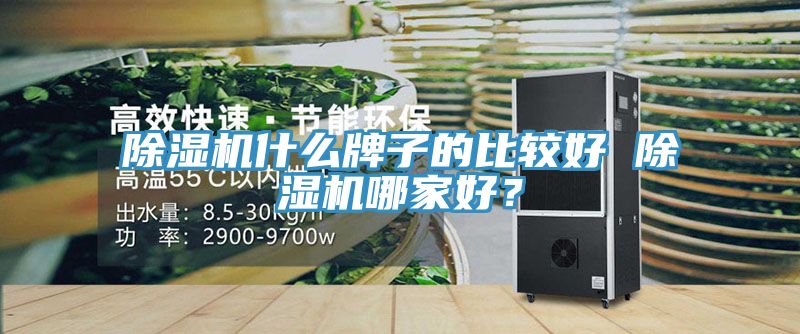 小黄片软件免费下载什麽牌子的比較好 小黄片软件免费下载哪家好？