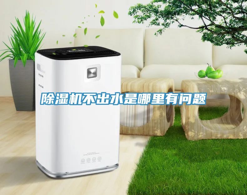 小黄片软件免费下载不出水是哪裏有問題