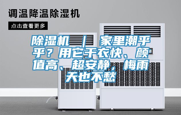 小黄片软件免费下载 ｜ 家裏潮乎乎？用它幹衣快、顏值高、超安靜，梅雨天也不愁
