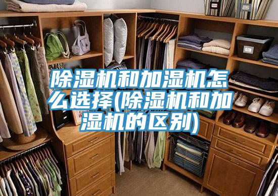 小黄片软件免费下载和加濕機怎麽選擇(小黄片软件免费下载和加濕機的區別)