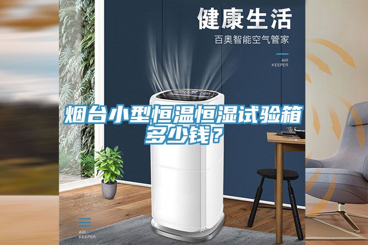 煙台小型恒溫恒濕試驗箱多少錢？