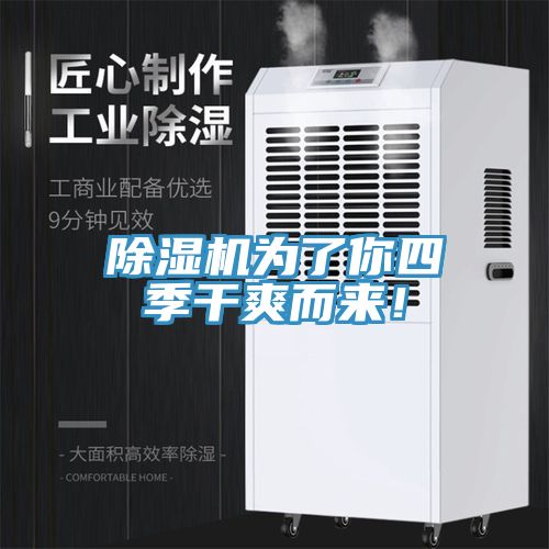 小黄片软件免费下载為了你四季幹爽而來！