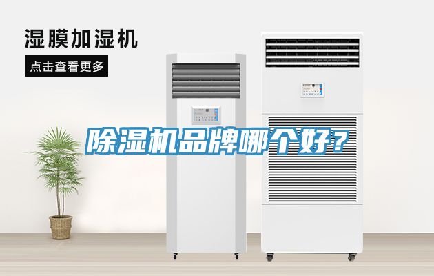 小黄片软件免费下载品牌哪個好？
