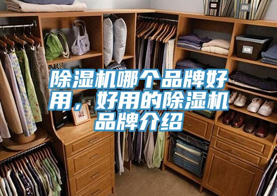 小黄片软件免费下载哪個品牌好用，好用的小黄片软件免费下载品牌介紹