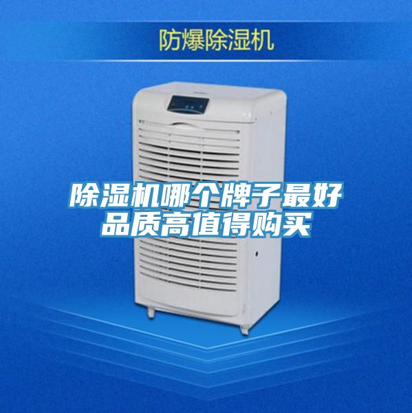 小黄片软件免费下载哪個牌子最好品質高值得購買