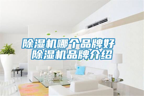 小黄片软件免费下载哪個品牌好 小黄片软件免费下载品牌介紹