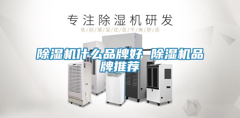 小黄片软件免费下载什麽品牌好 小黄片软件免费下载品牌推薦