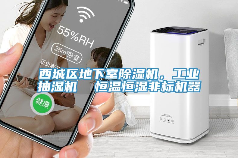 西城區地下室小黄片软件免费下载，工業抽濕機  恒溫恒濕非標機器