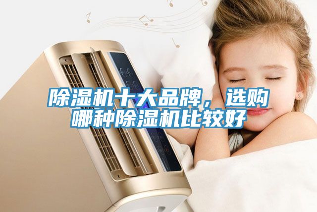 小黄片软件免费下载十大品牌，選購哪種小黄片软件免费下载比較好