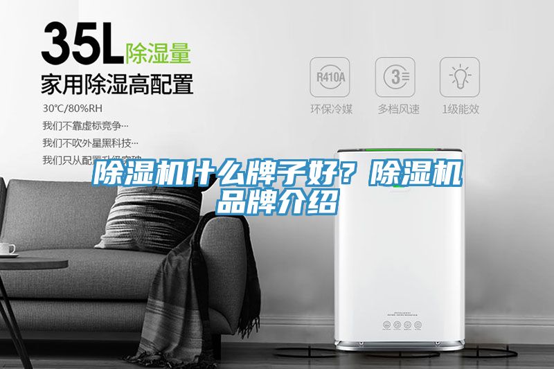 小黄片软件免费下载什麽牌子好？小黄片软件免费下载品牌介紹