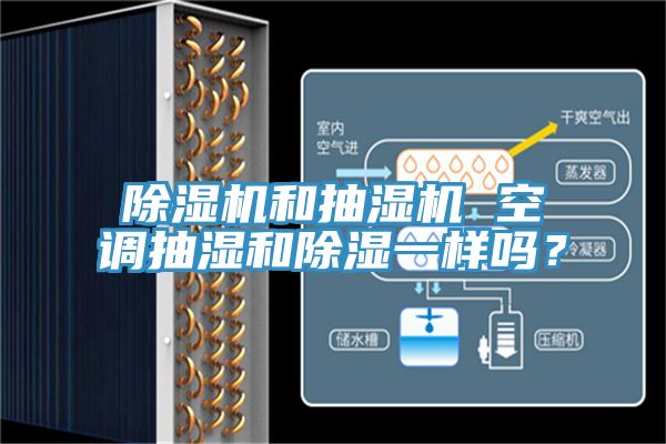小黄片软件免费下载和抽濕機 空調抽濕和除濕一樣嗎？