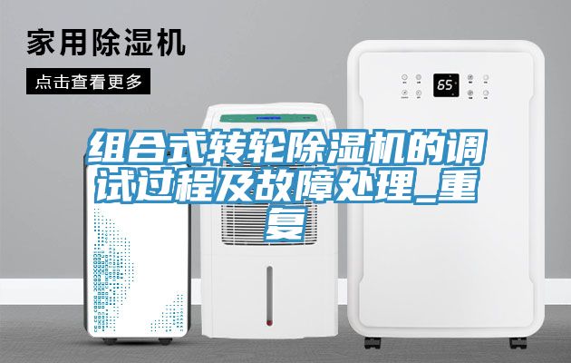組合式轉輪小黄片软件免费下载的調試過程及故障處理_重複