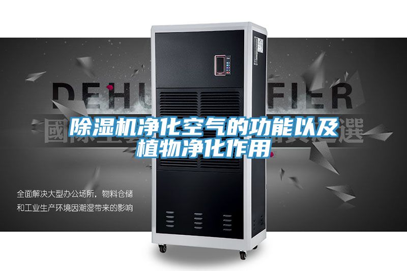 小黄片软件免费下载淨化空氣的功能以及植物淨化作用