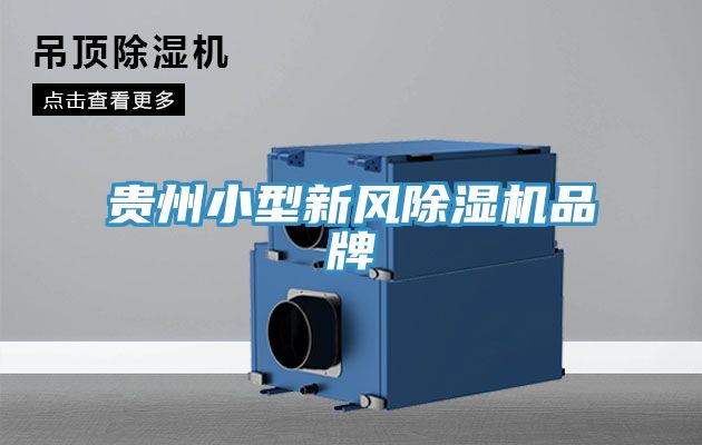 貴州小型新風小黄片软件免费下载品牌