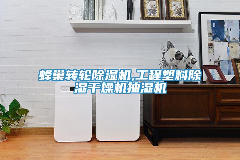 蜂巢轉輪小黄片软件免费下载,工程塑料除濕幹燥機抽濕機