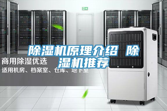 小黄片软件免费下载原理介紹 小黄片软件免费下载推薦