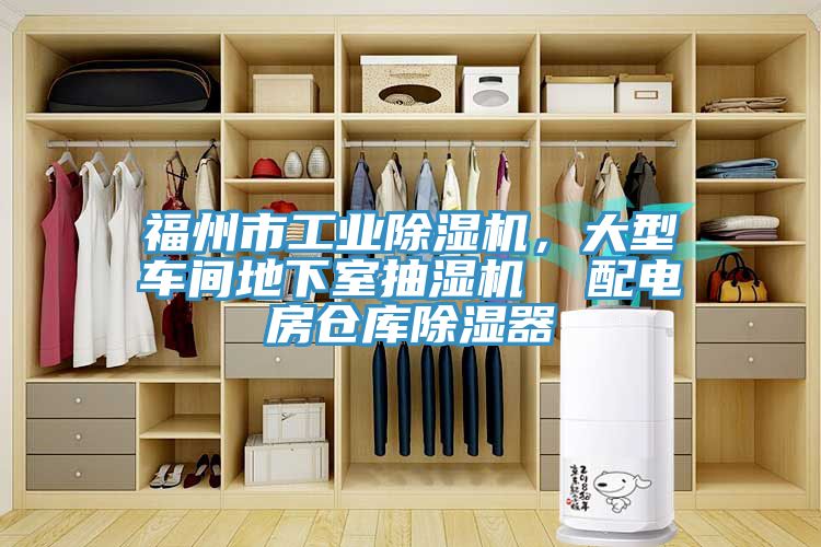 福州市工業小黄片软件免费下载，大型車間地下室抽濕機  配電房倉庫除濕器