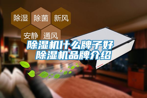 小黄片软件免费下载什麽牌子好 小黄片软件免费下载品牌介紹