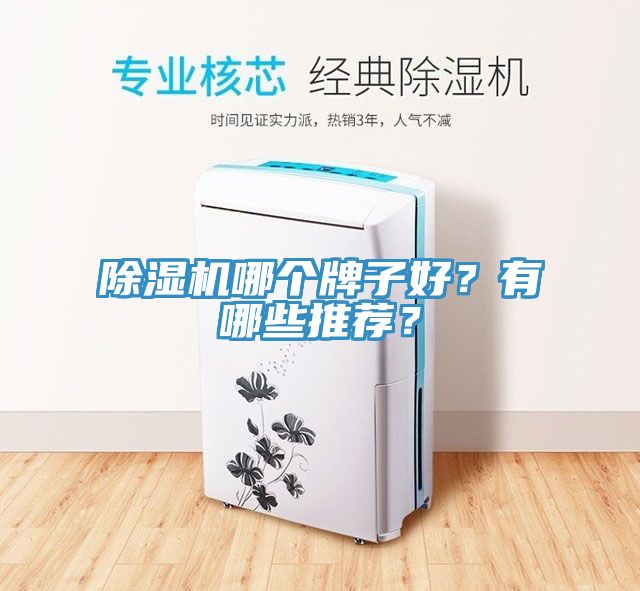 小黄片软件免费下载哪個牌子好？有哪些推薦？