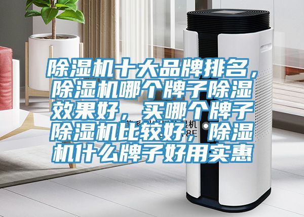 小黄片软件免费下载十大品牌排名，小黄片软件免费下载哪個牌子除濕效果好，買哪個牌子小黄片软件免费下载比較好，小黄片软件免费下载什麽牌子好用實惠