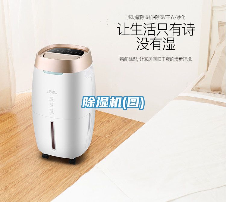 小黄片软件免费下载(圖)