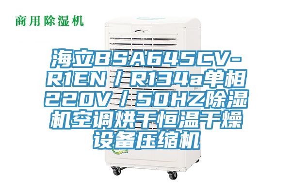 海立BSA645CV-R1EN／R134a單相220V／50HZ小黄片软件免费下载空調烘幹恒溫幹燥設備壓縮機
