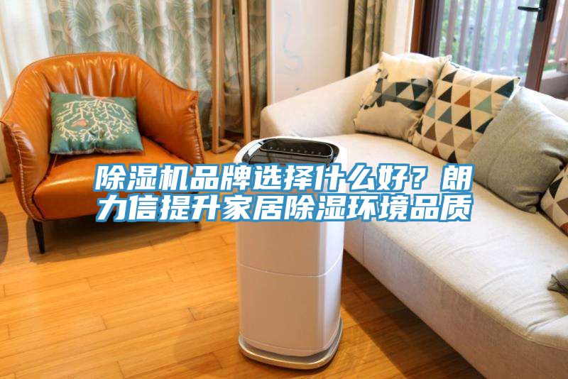 小黄片软件免费下载品牌選擇什麽好？朗力信提升家居除濕環境品質