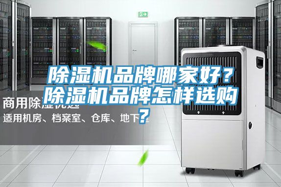小黄片软件免费下载品牌哪家好？小黄片软件免费下载品牌怎樣選購？
