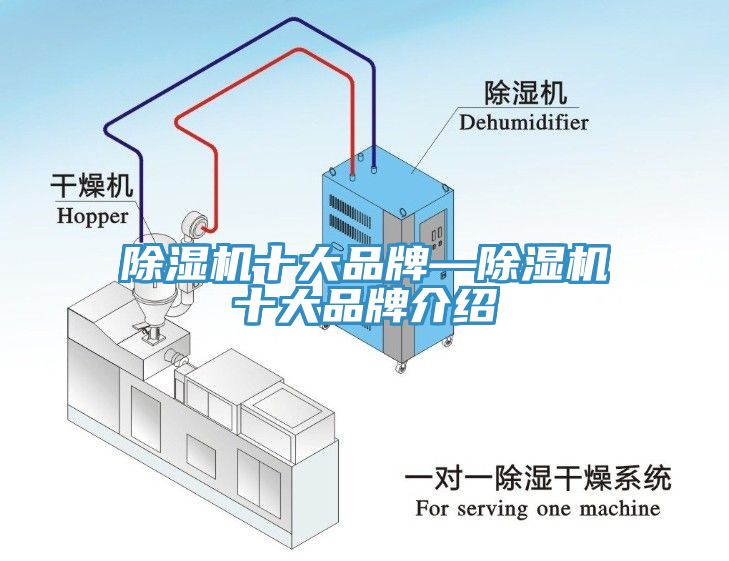 小黄片软件免费下载十大品牌—小黄片软件免费下载十大品牌介紹