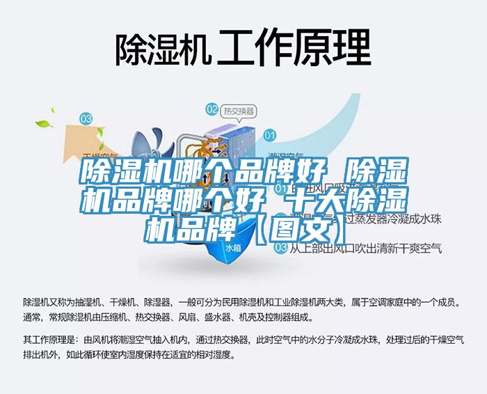 小黄片软件免费下载哪個品牌好 小黄片软件免费下载品牌哪個好 十大小黄片软件免费下载品牌【圖文】