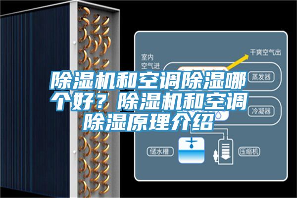 小黄片软件免费下载和空調除濕哪個好？小黄片软件免费下载和空調除濕原理介紹