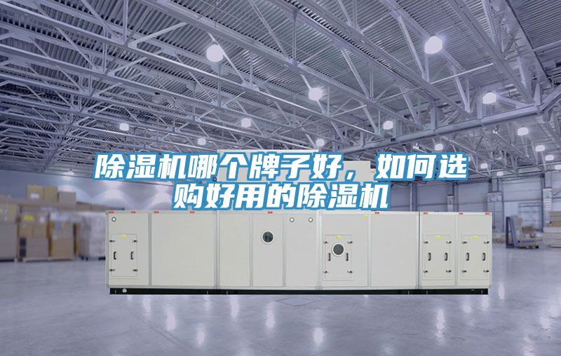 小黄片软件免费下载哪個牌子好，如何選購好用的小黄片软件免费下载