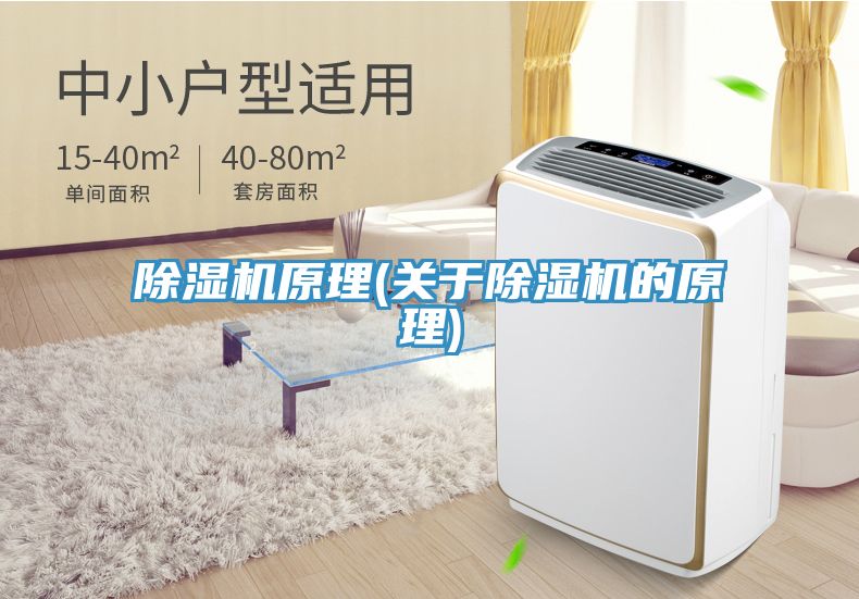 小黄片软件免费下载原理(關於小黄片软件免费下载的原理)