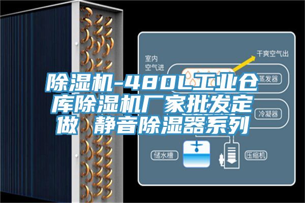 小黄片软件免费下载-480L工業倉庫小黄片软件免费下载廠家批發定做 靜音除濕器係列