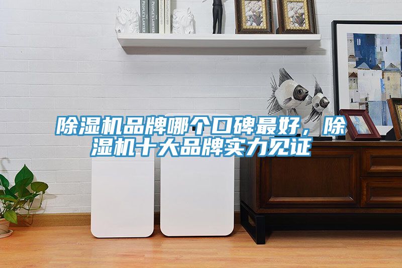 小黄片软件免费下载品牌哪個口碑最好，小黄片软件免费下载十大品牌實力見證