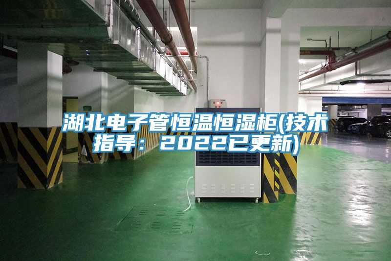 湖北電子管恒溫恒濕櫃(技術指導：2022已更新)