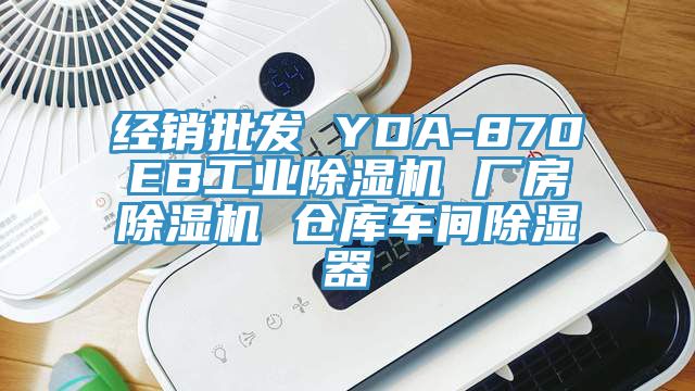經銷批發 YDA-870EB工業小黄片软件免费下载 廠房小黄片软件免费下载 倉庫車間除濕器