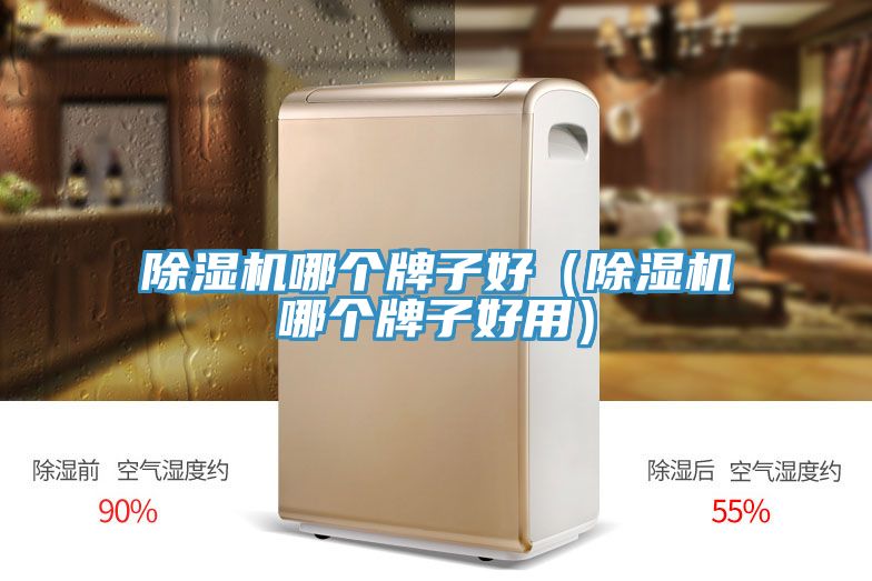 小黄片软件免费下载哪個牌子好（小黄片软件免费下载哪個牌子好用）