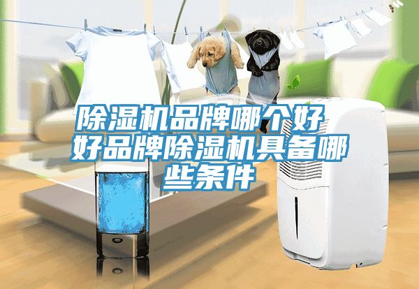 小黄片软件免费下载品牌哪個好 好品牌小黄片软件免费下载具備哪些條件