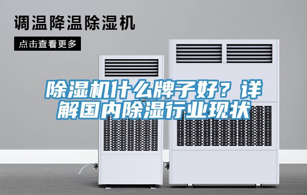 小黄片软件免费下载什麽牌子好？詳解國內除濕行業現狀